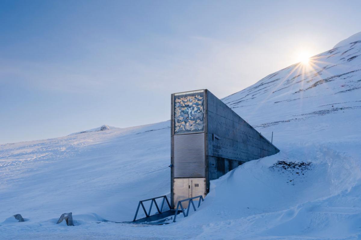 Svalbard Global Seed Vault.