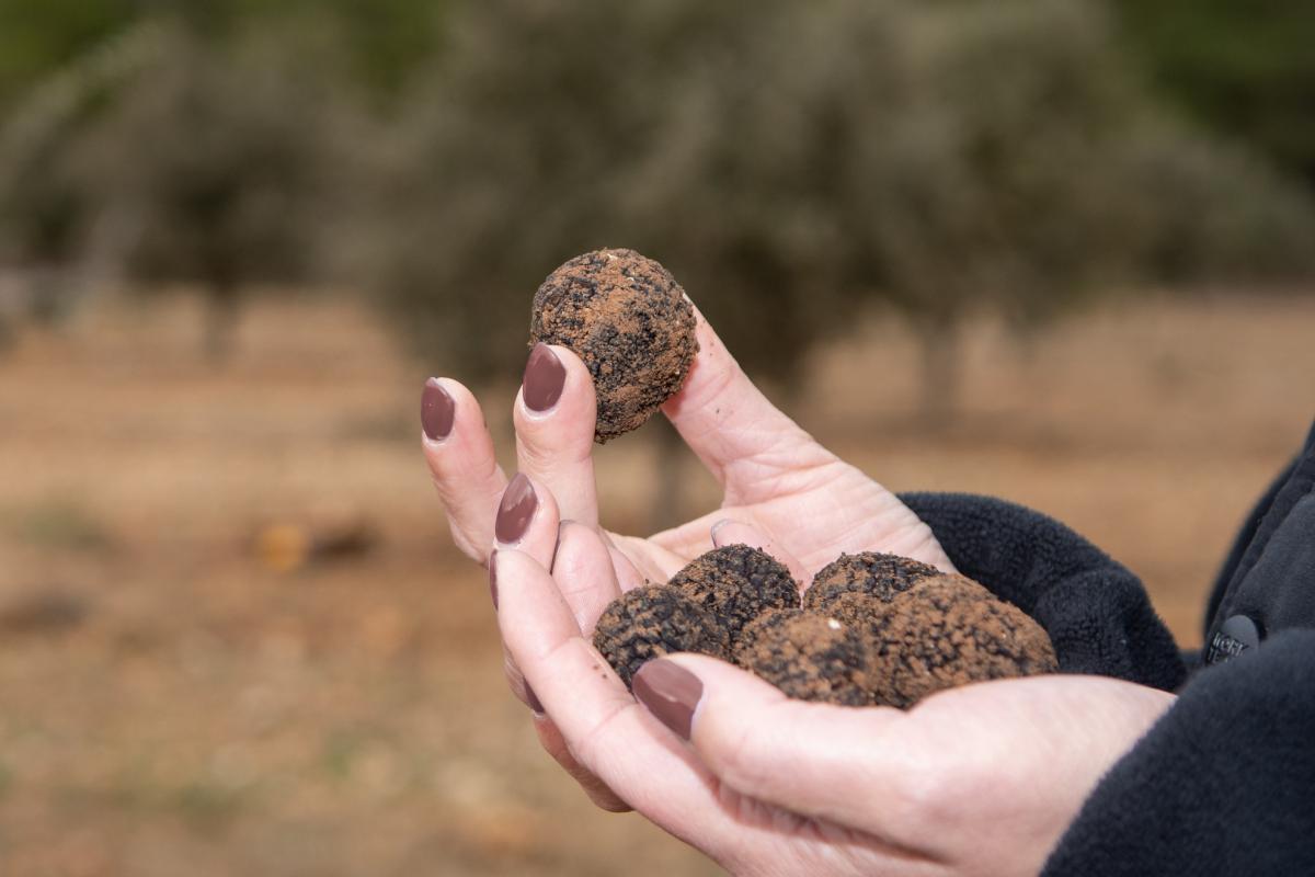 Una mujer con trufas negras.