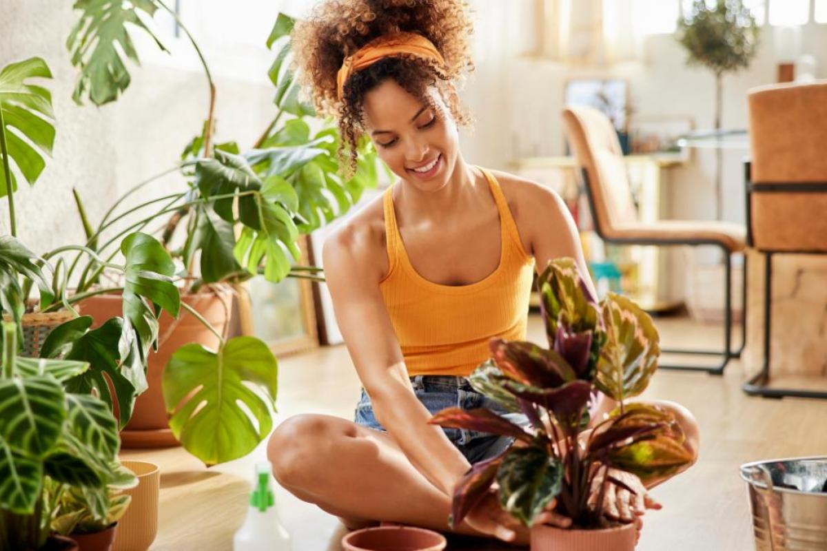 Un sistema de riego automático para las plantas es ideal para los días en que se está fuera de casa