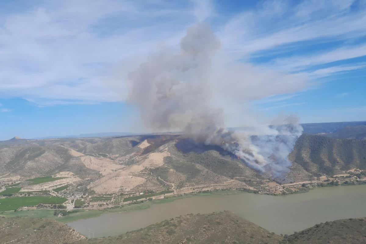 Vista del incendio de Mequinenza, que ha obligado a desalojar temporalmente un cámping cercano.