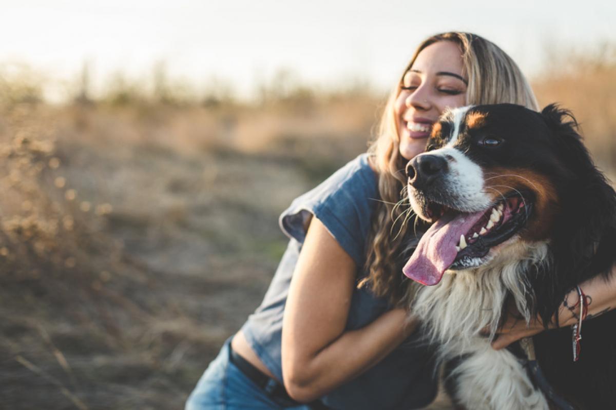 Imagen de archivo de un perro de raza San Bernardo, junto a una mujer.