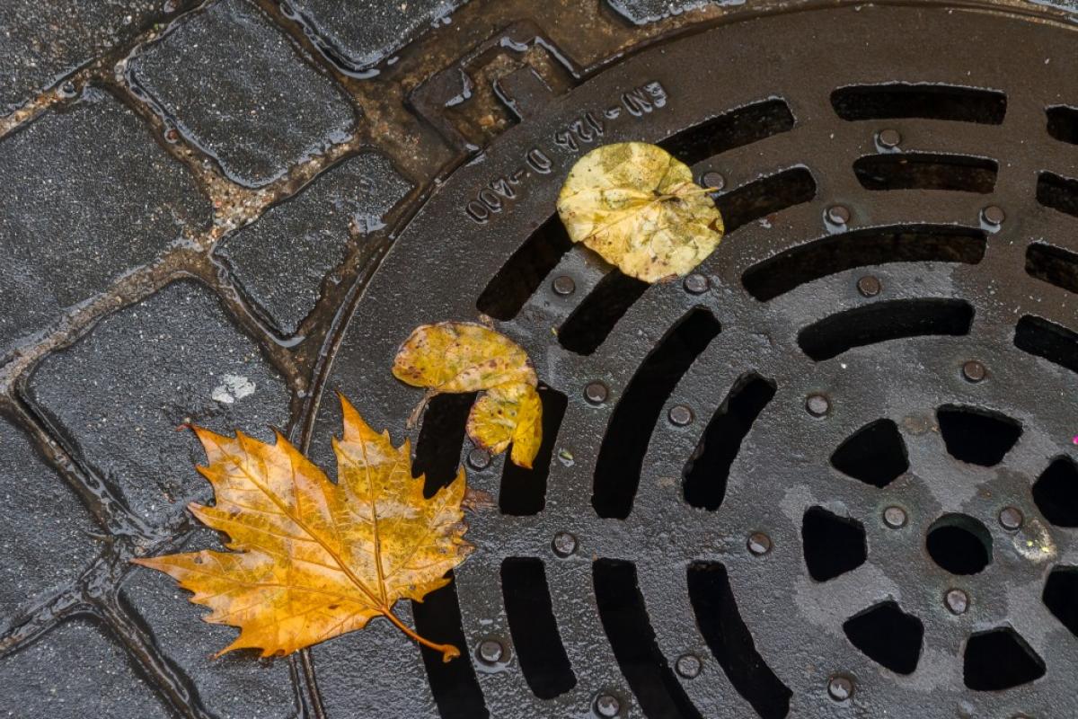 Alcantarilla de la calle