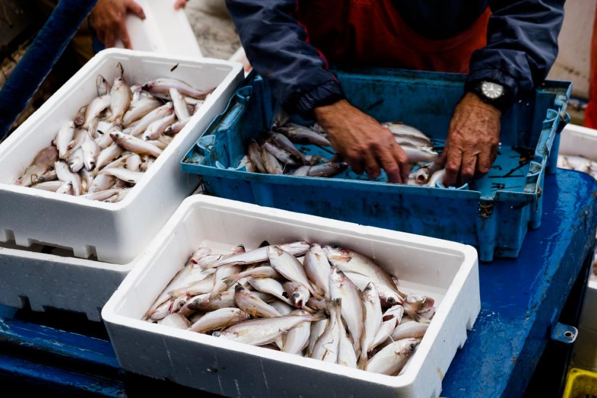 Imagen de un barco pesquero