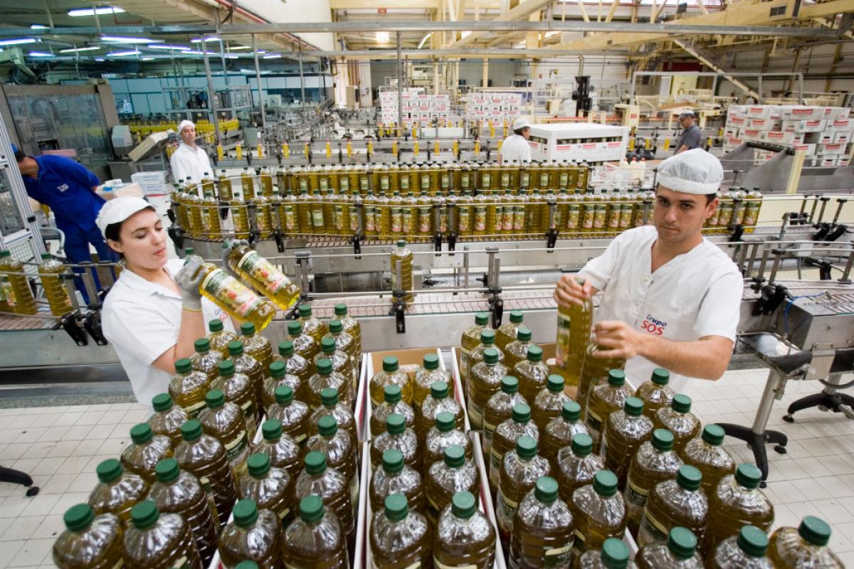 Operarios de una fábrica en la que se produce de aceite de oliva empaquetan el producto.