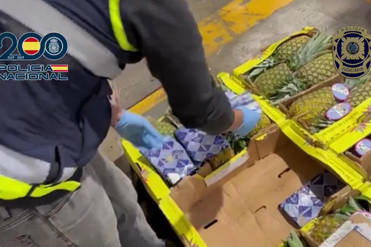 CNP / @policia X (Twitter)