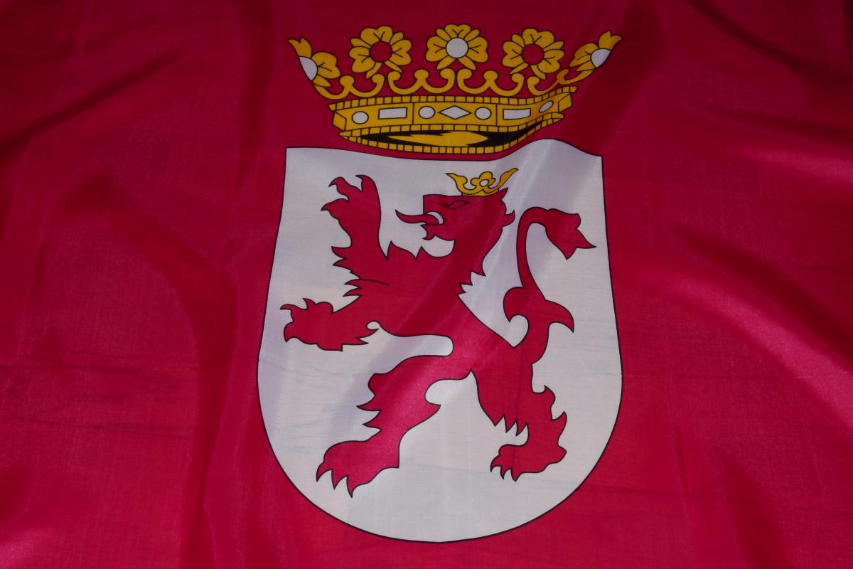 Bandera de León.
