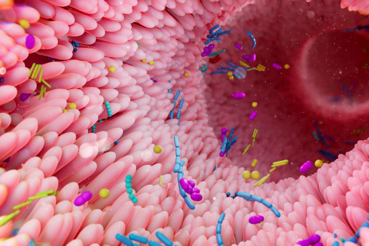 Ilustración de la microbiota intestinal humana.