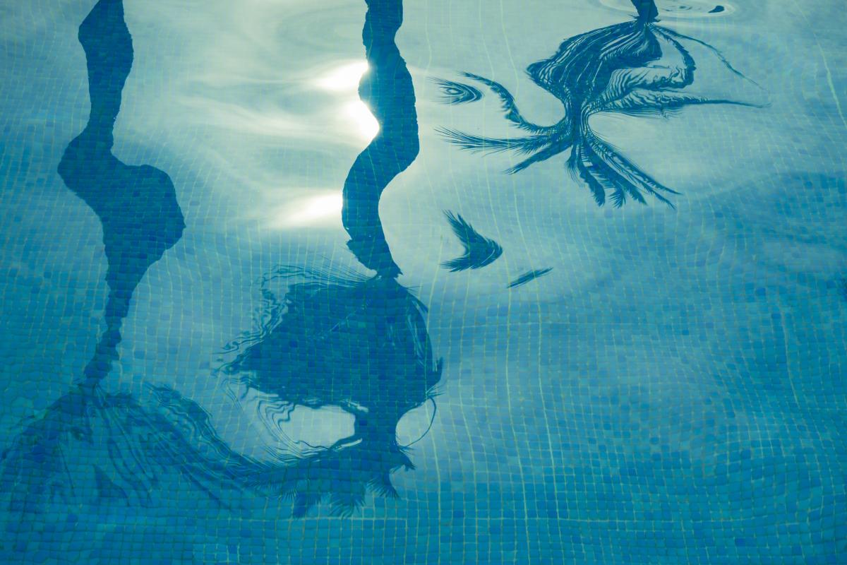 Imagen de archivo del reflejo de unas palmeras en el agua de una piscina.