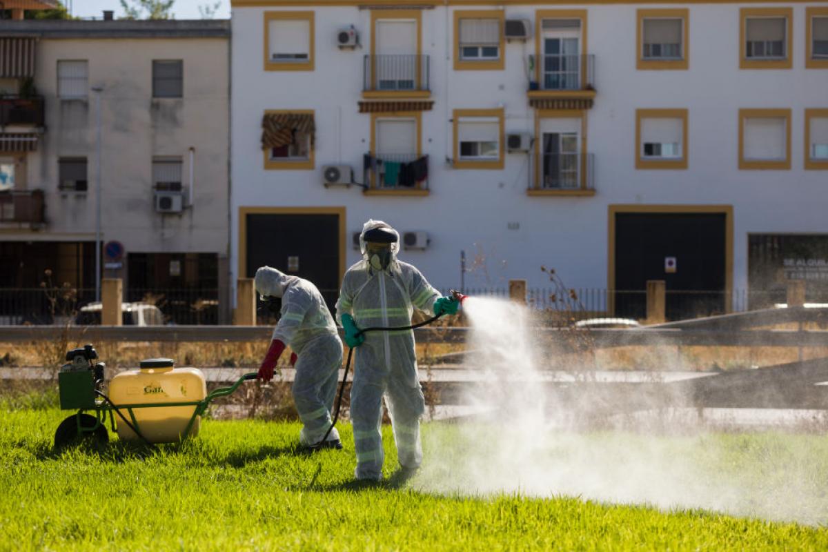 Trabajadores fumigando espacios públicos y jardines en Coria del Río (Sevilla), para prevenir el avance del virus del Nilo.