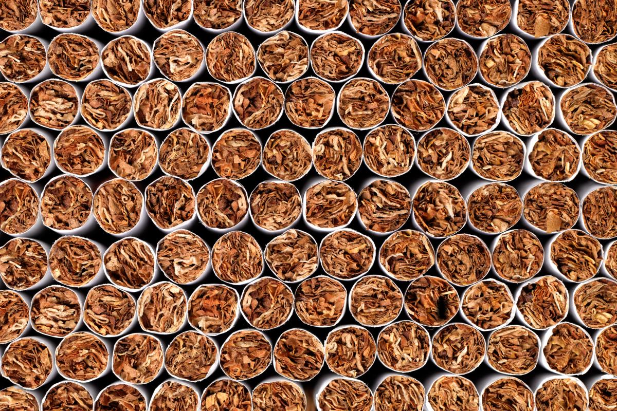 Imagen con detalle del tabaco en cigarrillos.