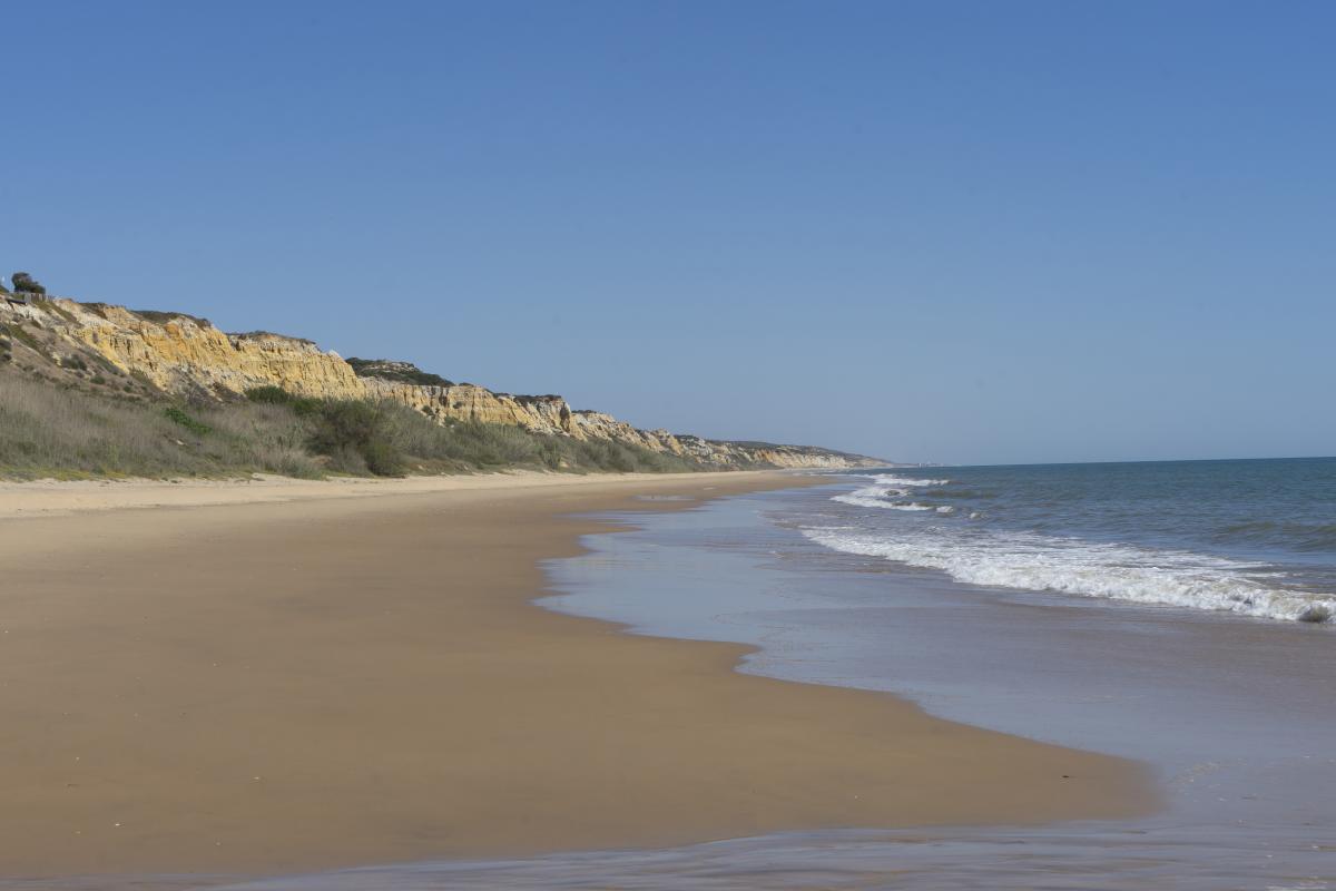 Playa de Doñana, en Huelva.