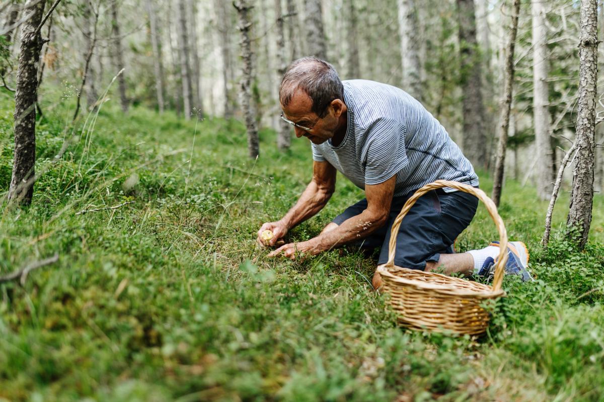 Un hombre cogiendo setas.