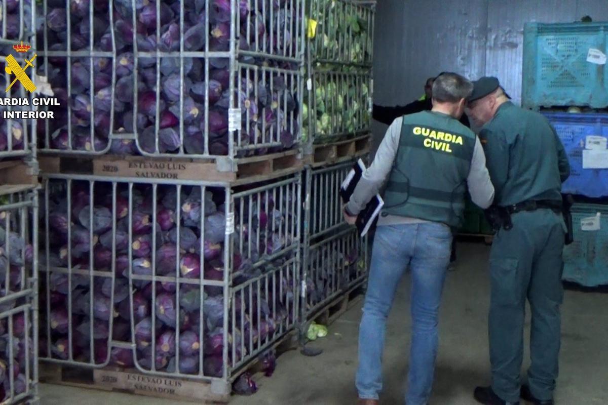 Cae una red en Motril por vender dos millones de kilos de frutas y verduras como productos ecológicos.