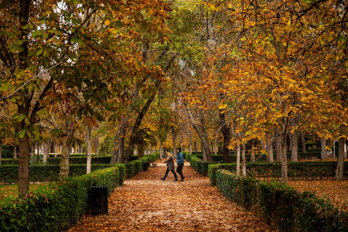 Imagen de archivo de una pareja paseando por el Retiro de Madrid en otoño.