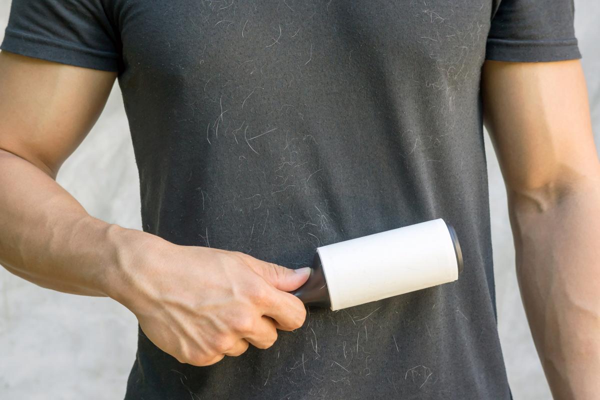 Un hombre cepilla su camiseta para quitar los pelos de su mascota.