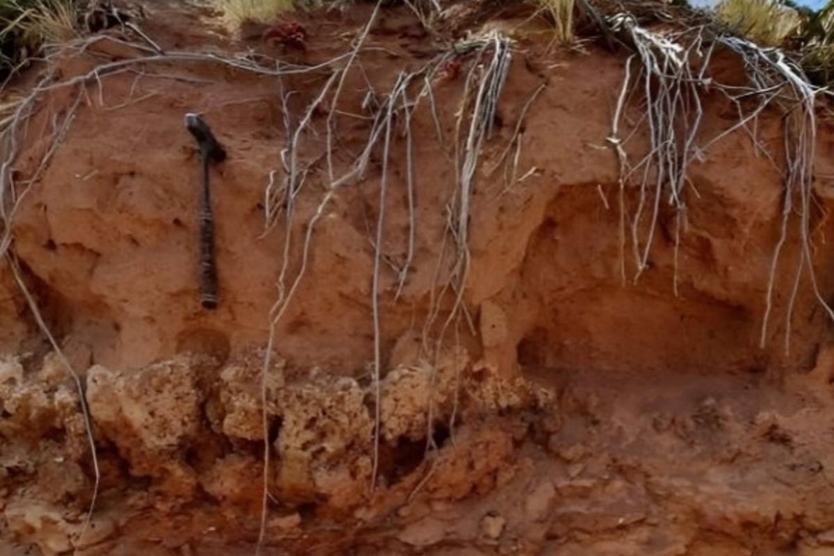 Termiteros en Sudáfrica habitados desde hace 34.000 años.