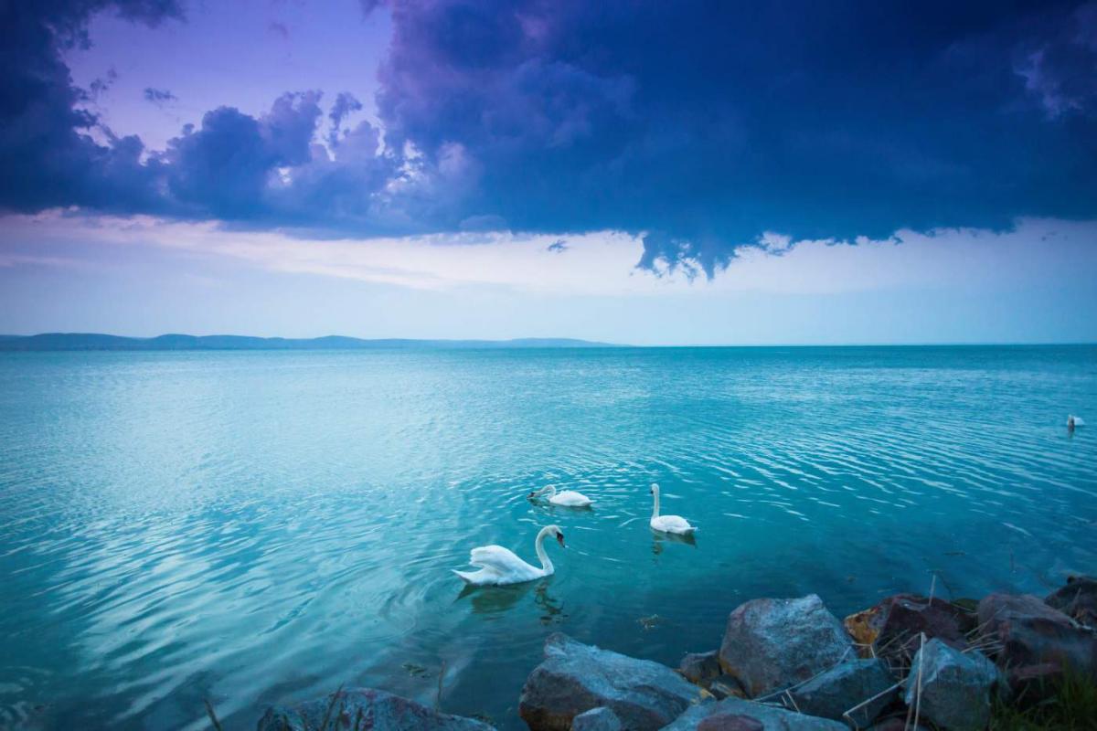 Lago Balaton