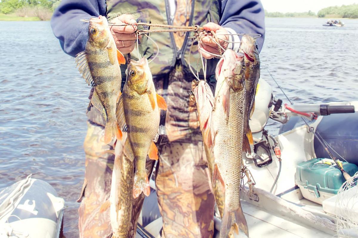 Un pescador aficionado muestra las capturas de una jornada de pesca.