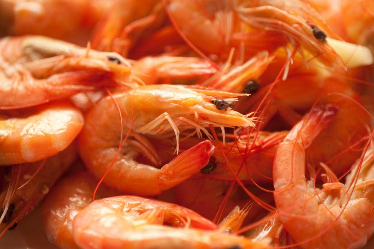 Gambas frescas