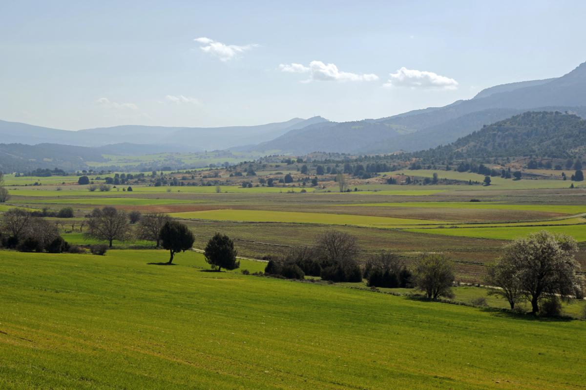 Quintanilla del Coco es una de las poblaciones que están dentro del Parque Natural Sabinares del Arlanza-La Yecla.
