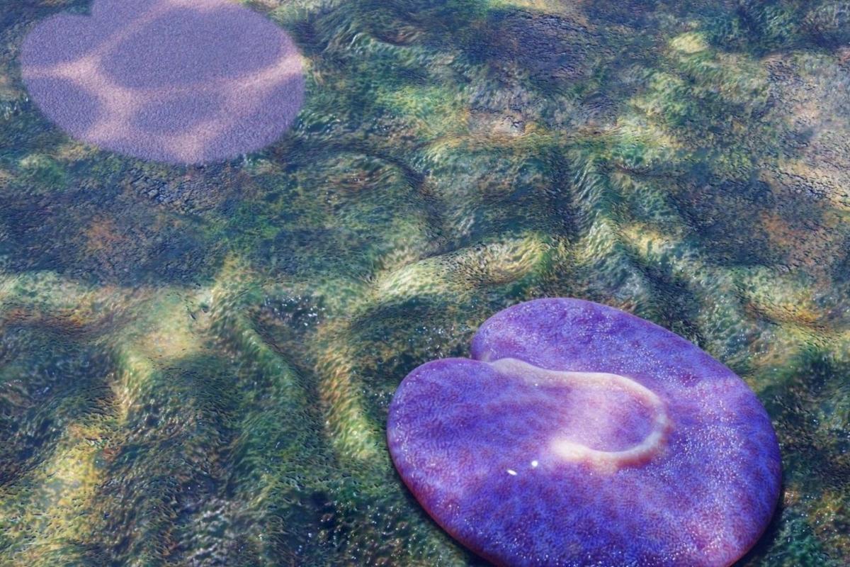 Recreación digital del fósil 'Quaestio simpsonorum', animal marino apodado la 'roomba submarina'.