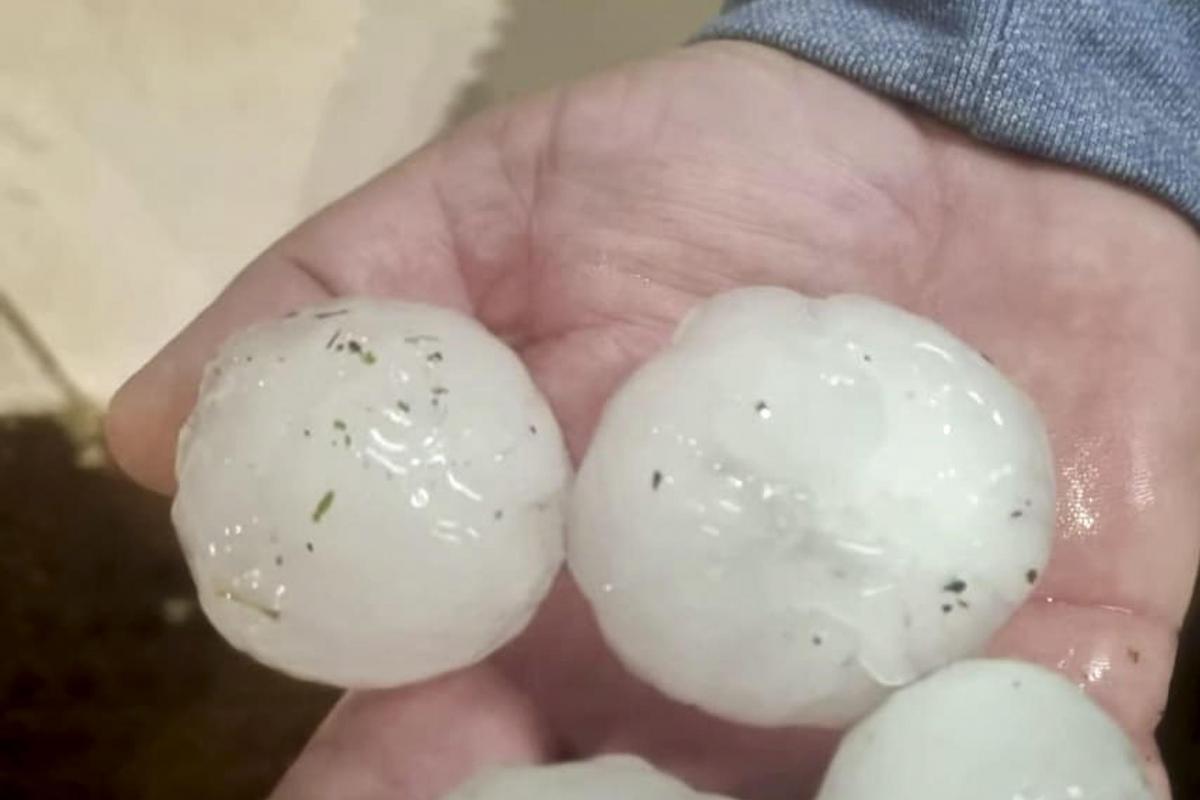 Fotografía cedida por COAG del granizo caído ayer en El Ejido. El granizo ha causado daños especialmente virulentos en una franja de ocho kilómetros ubicada en la parte de El Ejido (Almería) que linda con La Mojonera (Almería), afectando a unas 11.300 hectáreas de cultivo bajo plástico, según la secretaria provincial de UPA Almería, Francisca Iglesias.