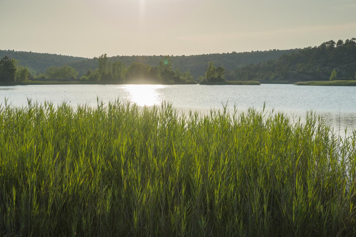 Imagen de archivo del embalse de Valbona en Teruel.
