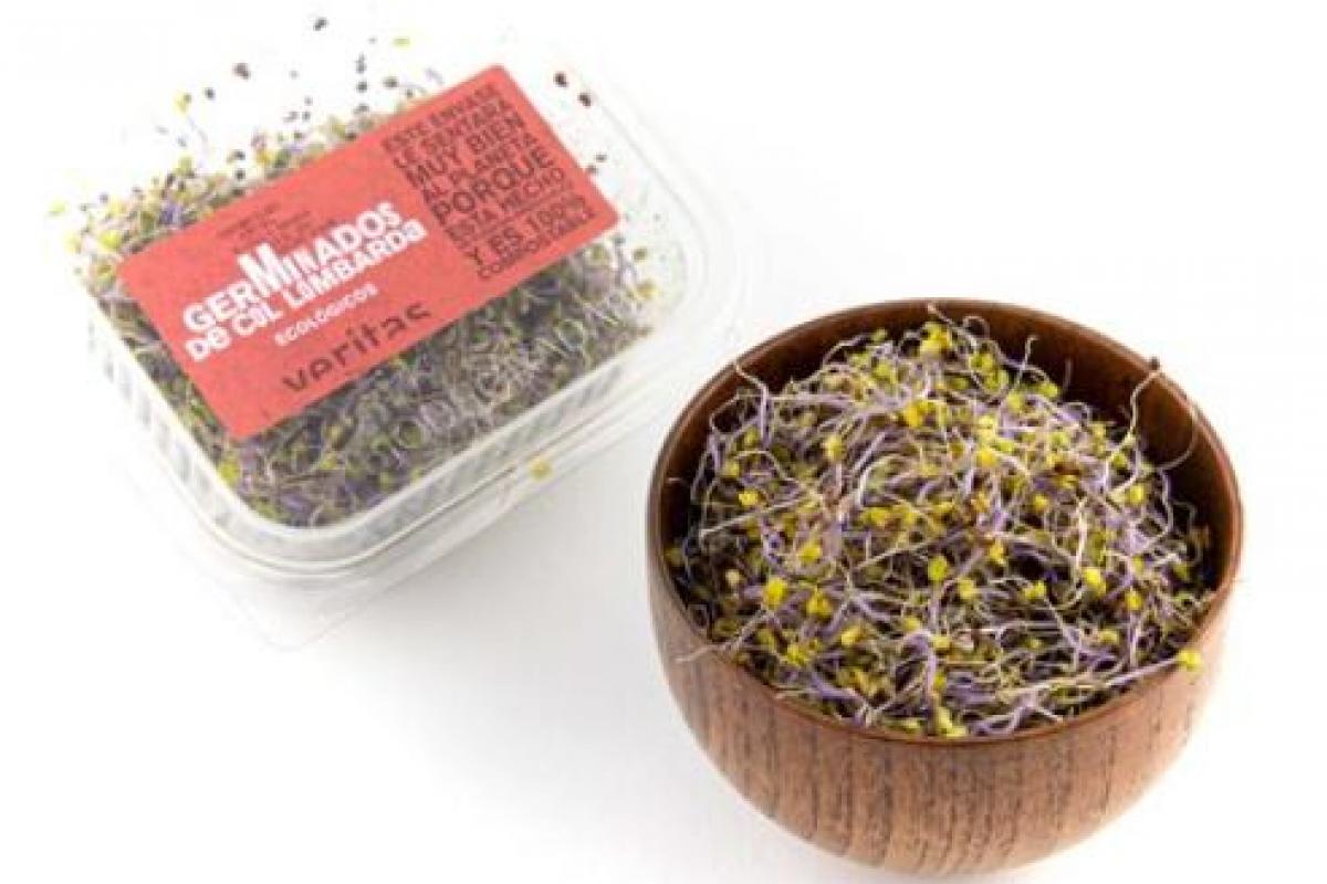 Germinados de col