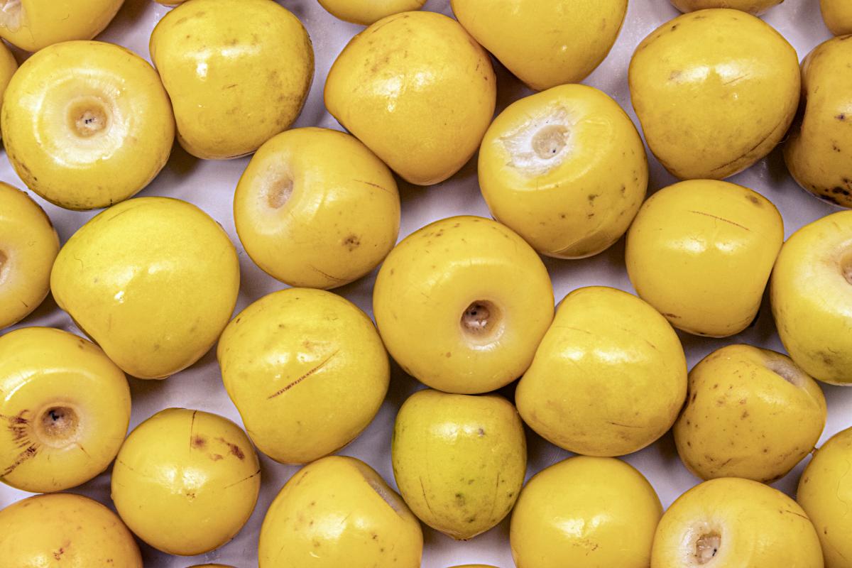 Vista exterior del nanche.