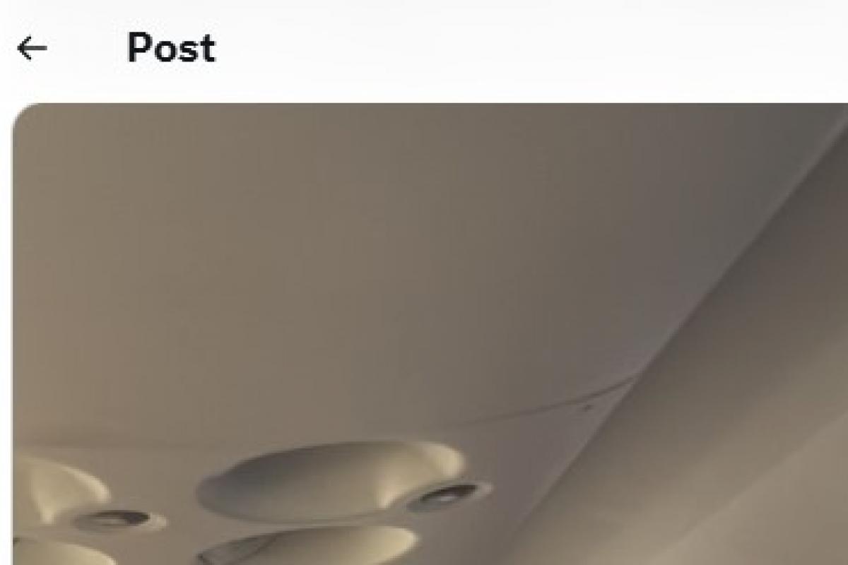 El tuit de @29CarolBernal