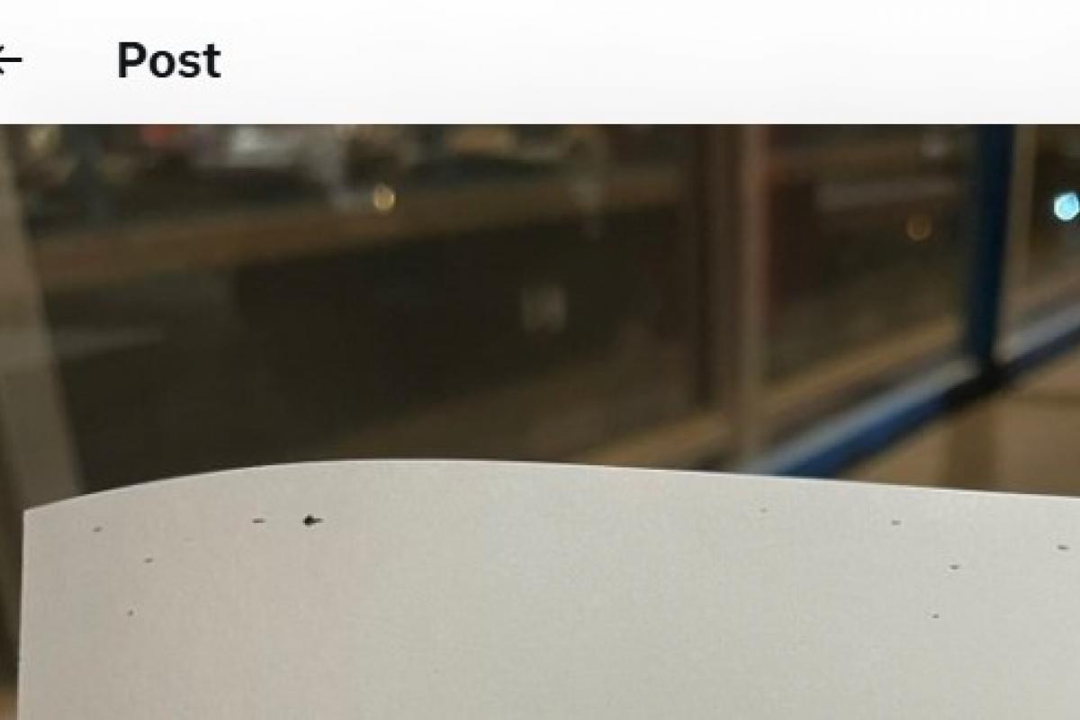 El mensaje compartido por @laurumipsam