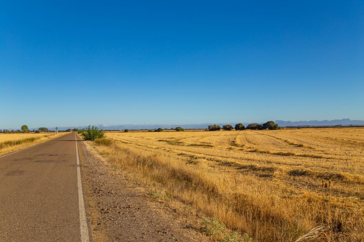 Imagen de archivo de un paisaje en Navarra.