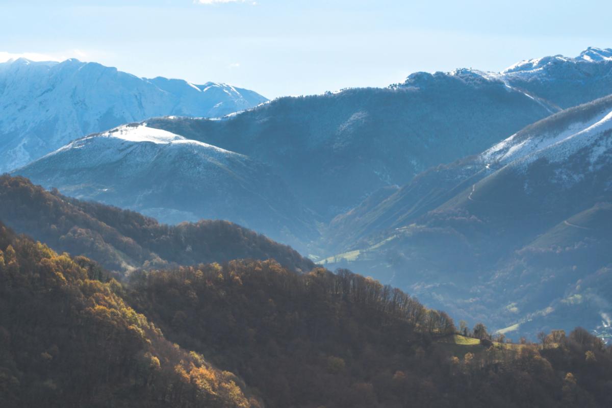 Colores otoñales en un bosque, Cordillera Cantábrica, concejo de Quirós, Asturias.
