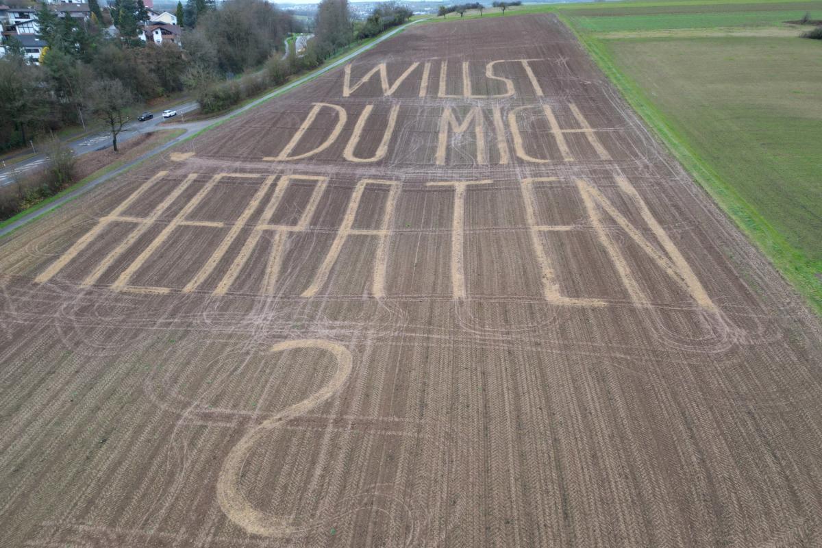 Foto de archivo de lo que ha hecho un agricultor.