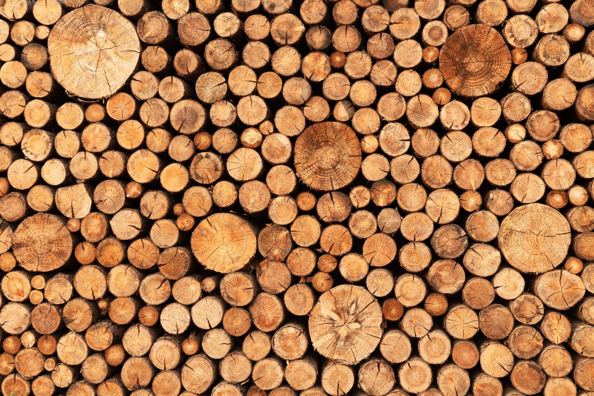 Imagen de archivo de leña estibada.