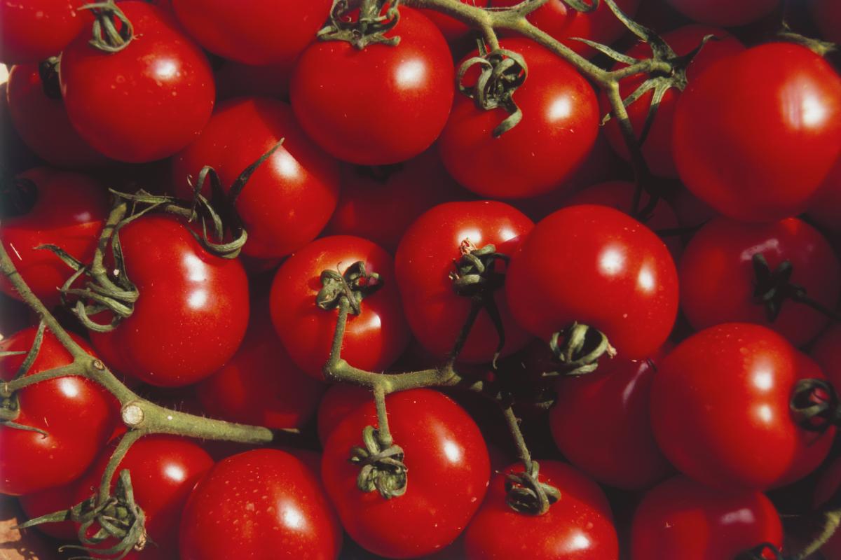 Unos tomates almacenados.