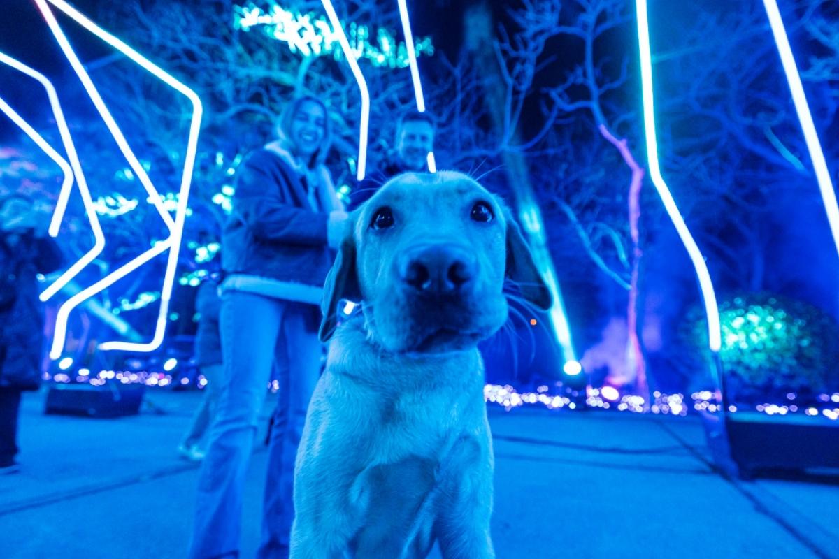 Naturaleza Encendida Madrid 2024