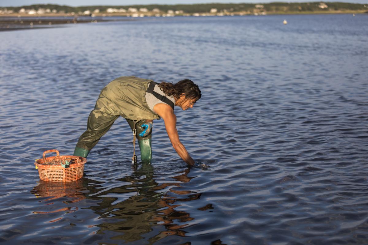 Una mujer recogiendo cangrejos.
