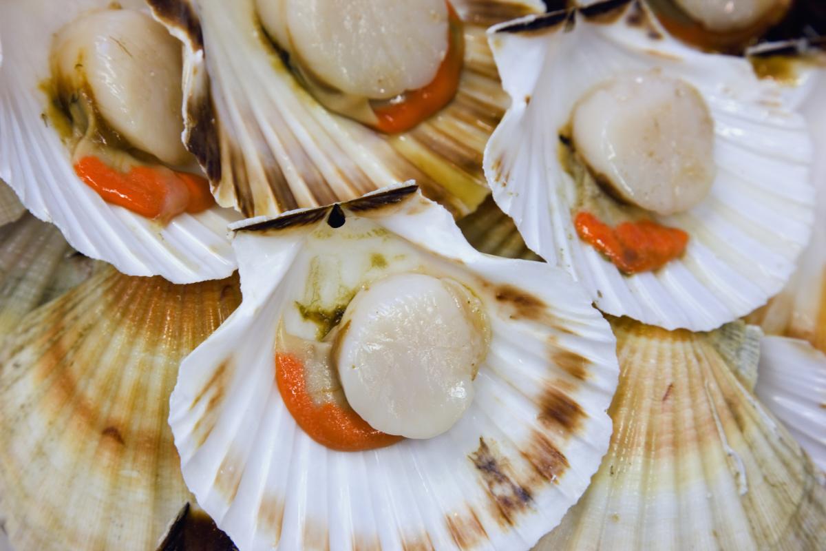 Un plato de vieiras.