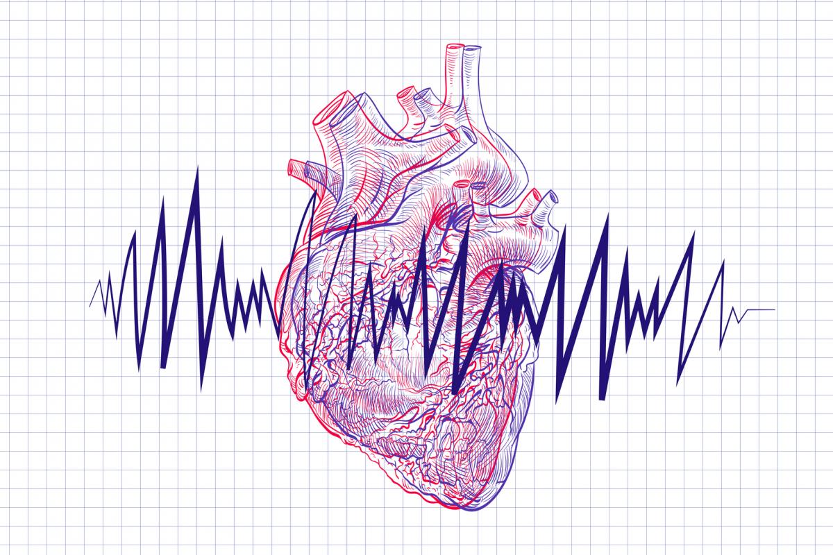 Ilustración de un corazón latiendo.