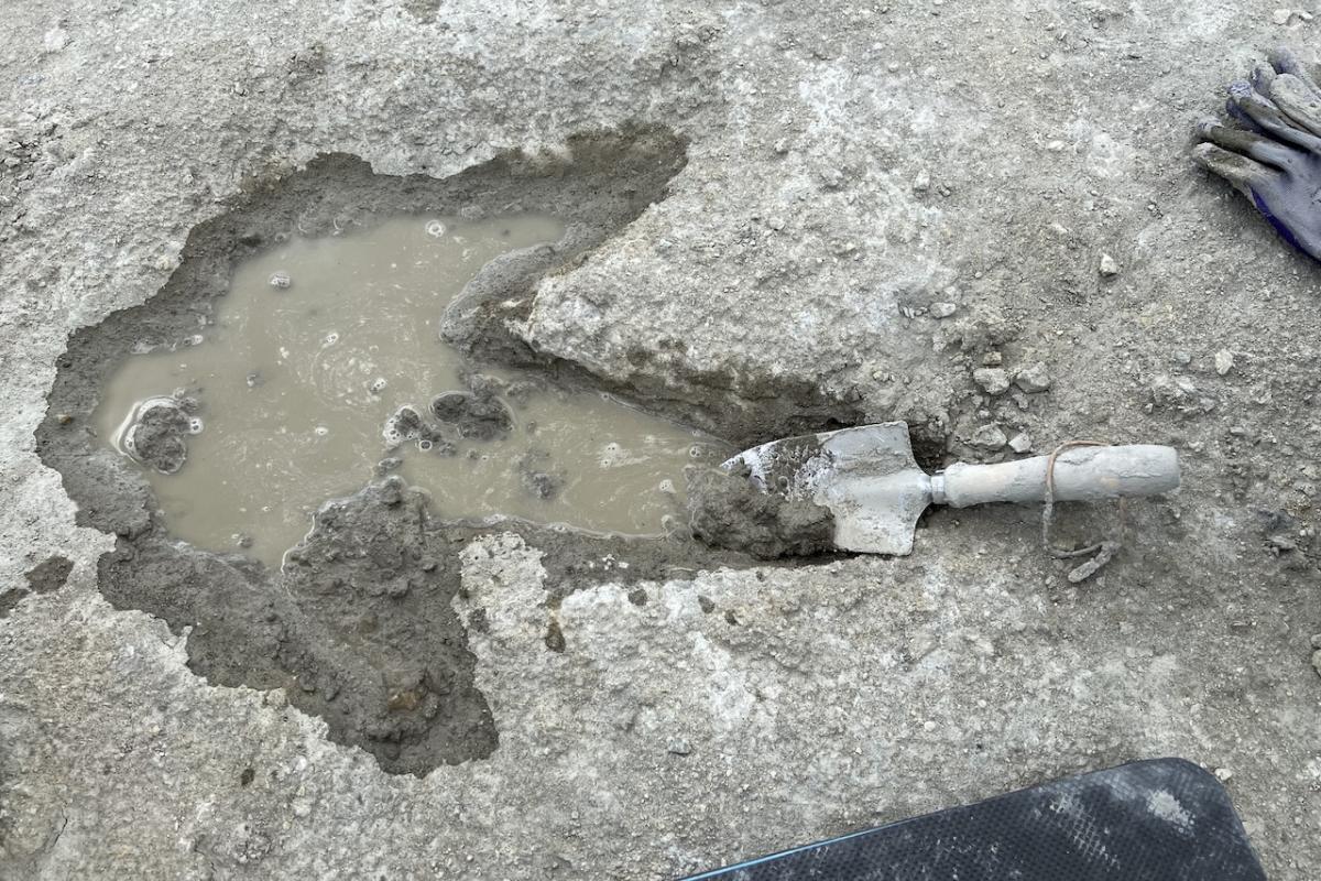 Algunas de las huellas que se pueden ver en la autopista de dinosaurios hallada en Oxford.