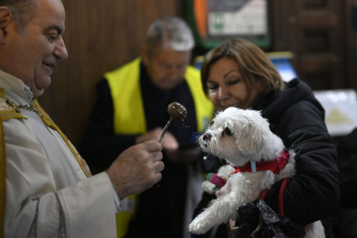 Imagen de archivo de un perro siendo bendecido el día de San Antón, en Madrid.