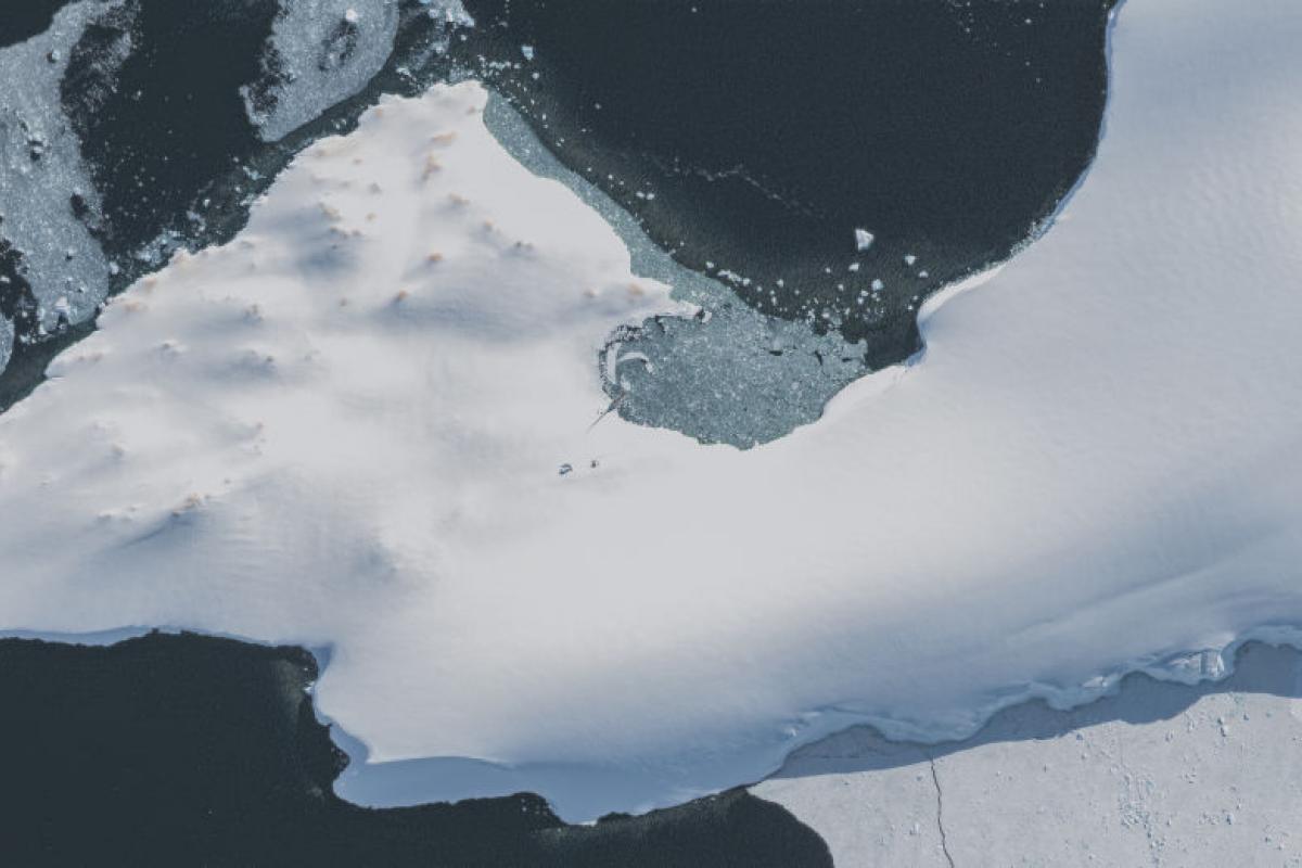 Imagen satelital de la Antártida en una vista reciente