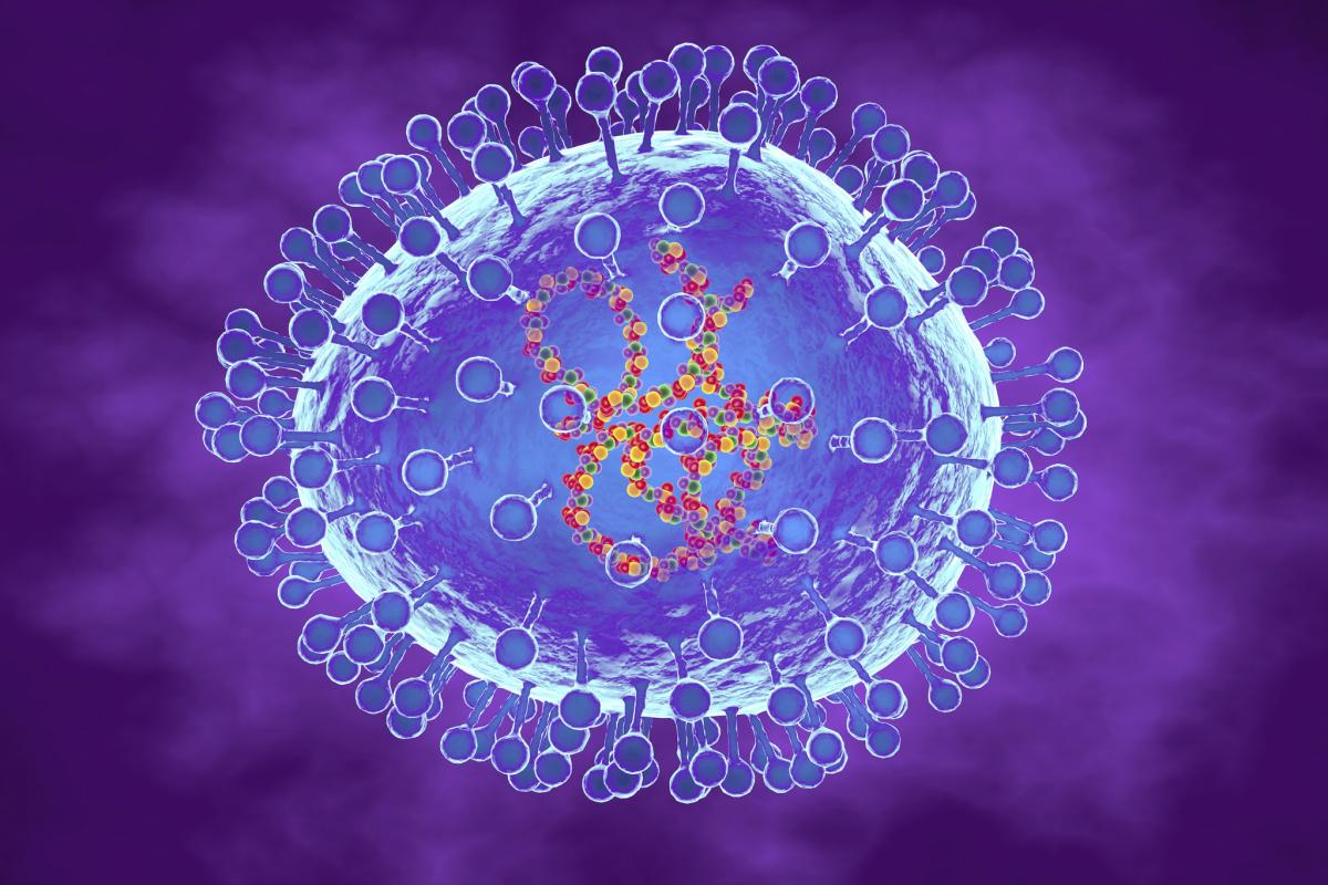 Ilustración de recurso de un metapneumovirus.