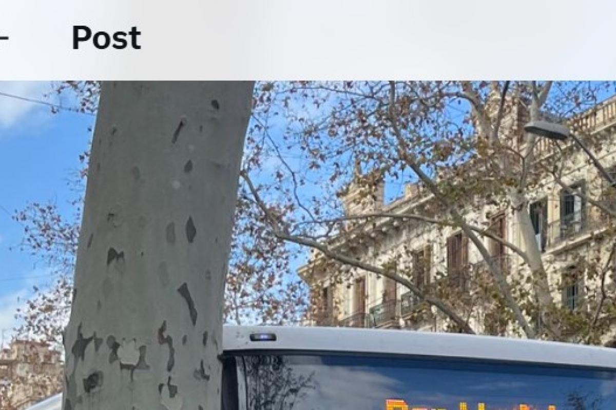 El mensaje publicado en X por @irena_lasirena