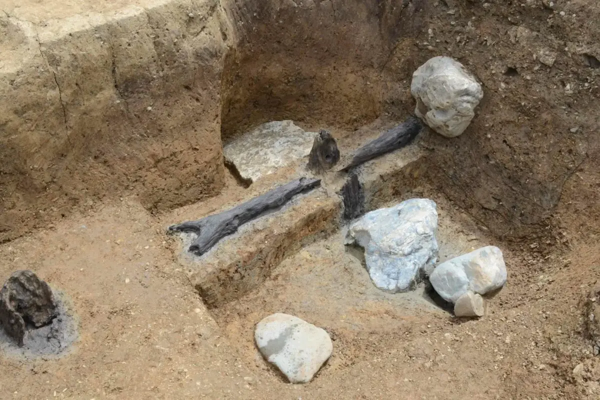 Los restos localizados en el yacimiento japonés.