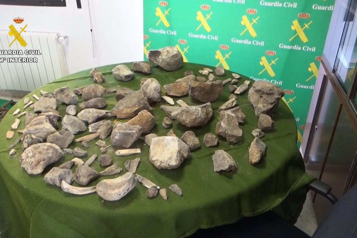 La Guardia Civil recupera más de 100 restos de mamuts expoliados de un yacimiento de Granada.