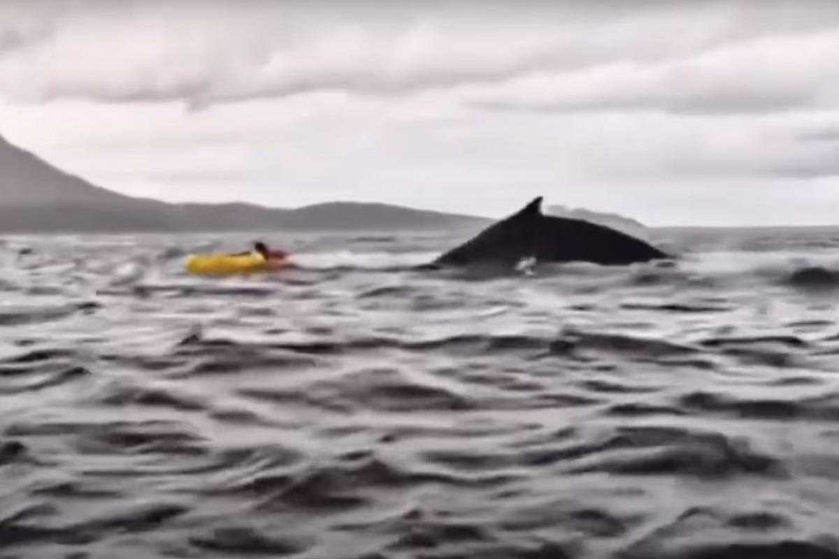 Un instante del vídeo que ha circulado, también, por redes sociales.