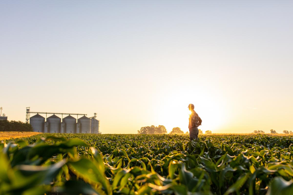 Un agricultor, en una imagen de recurso
