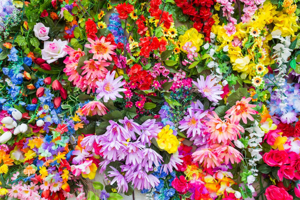 Varias flores de diferentes colores.